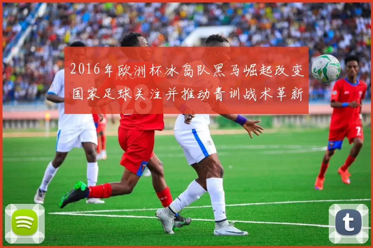 2016年欧洲杯冰岛队黑马崛起改变国家足球关注并推动青训战术革新